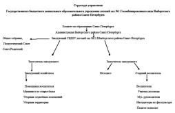 Структура и органы управления образовательной организацией